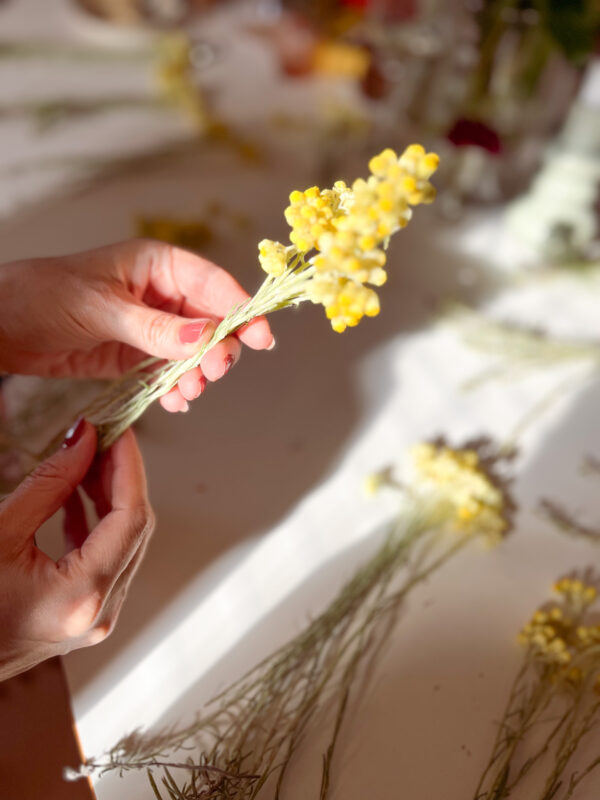 Atelier fleurs séchées immortelles